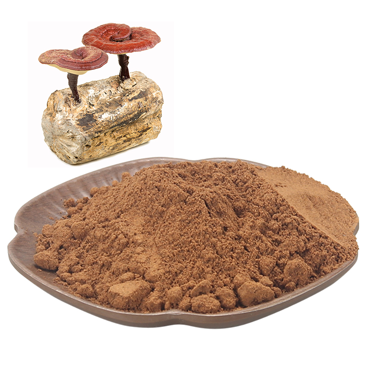 Organic Red Ganoderma Powder vs Regular: What's the Difference?